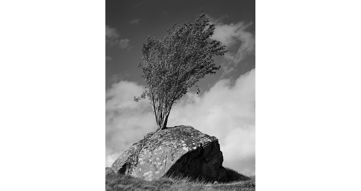 Stacks Image 199