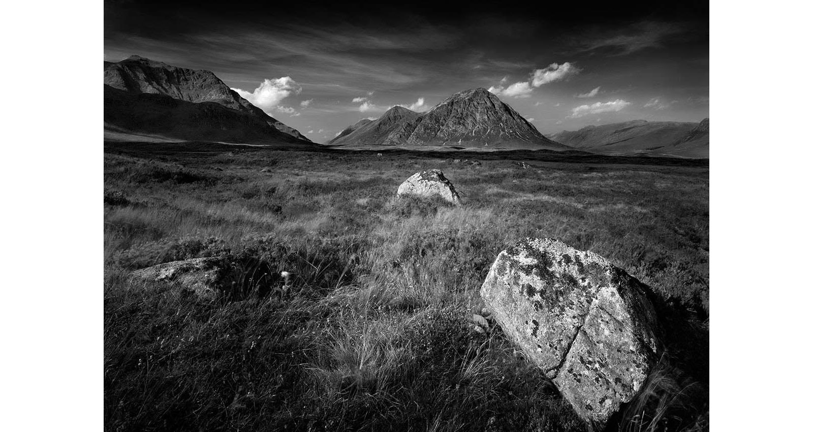 Stacks Image 345