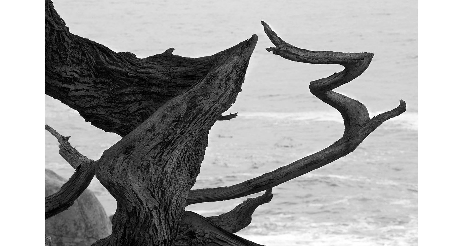 Stacks Image 119