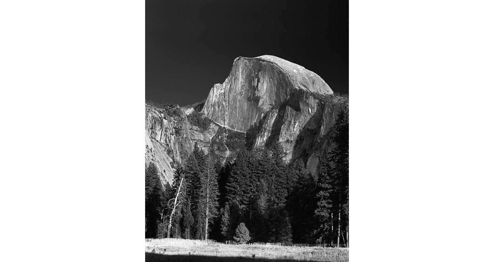 Stacks Image 142