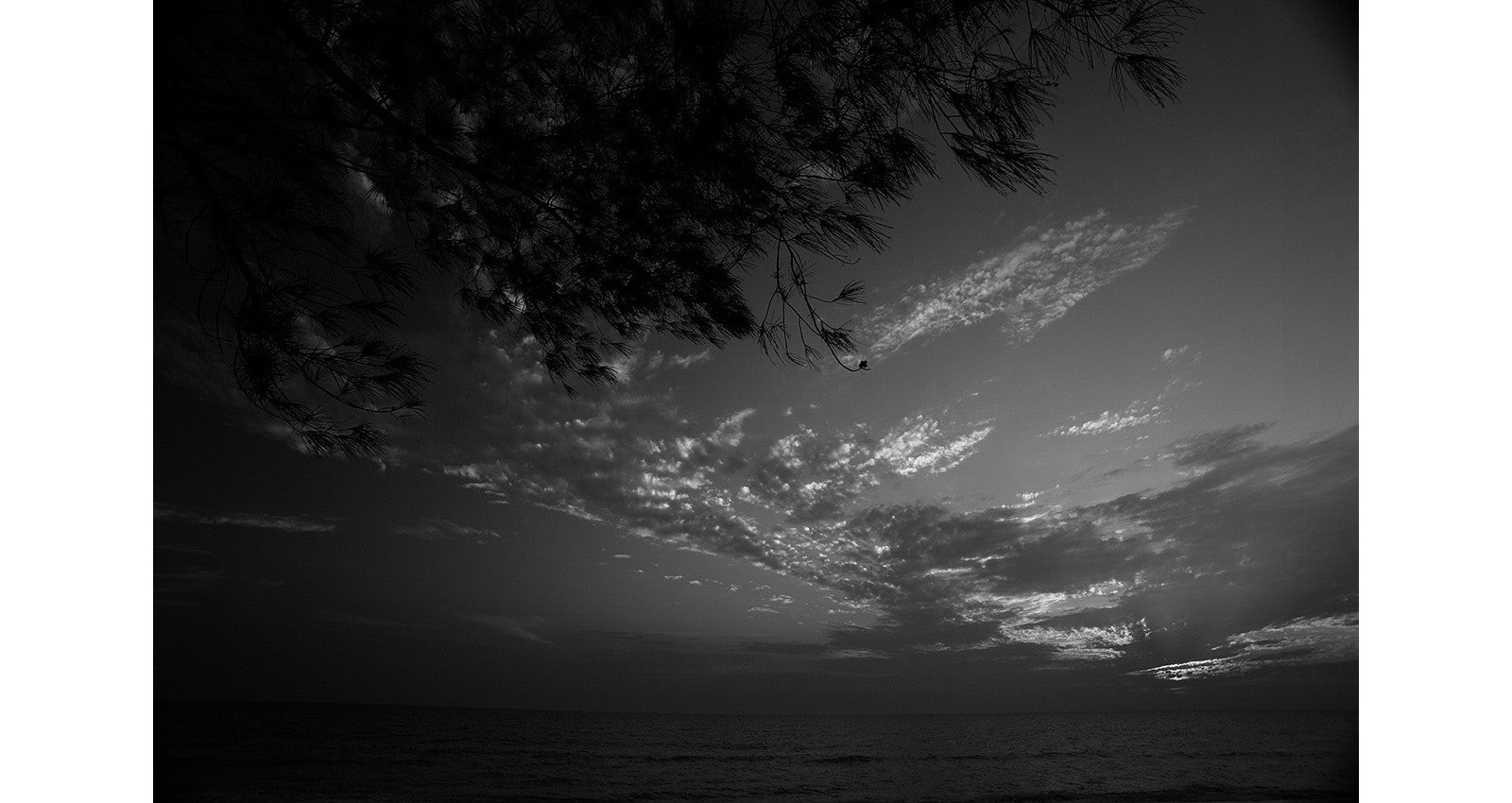 Stacks Image 128