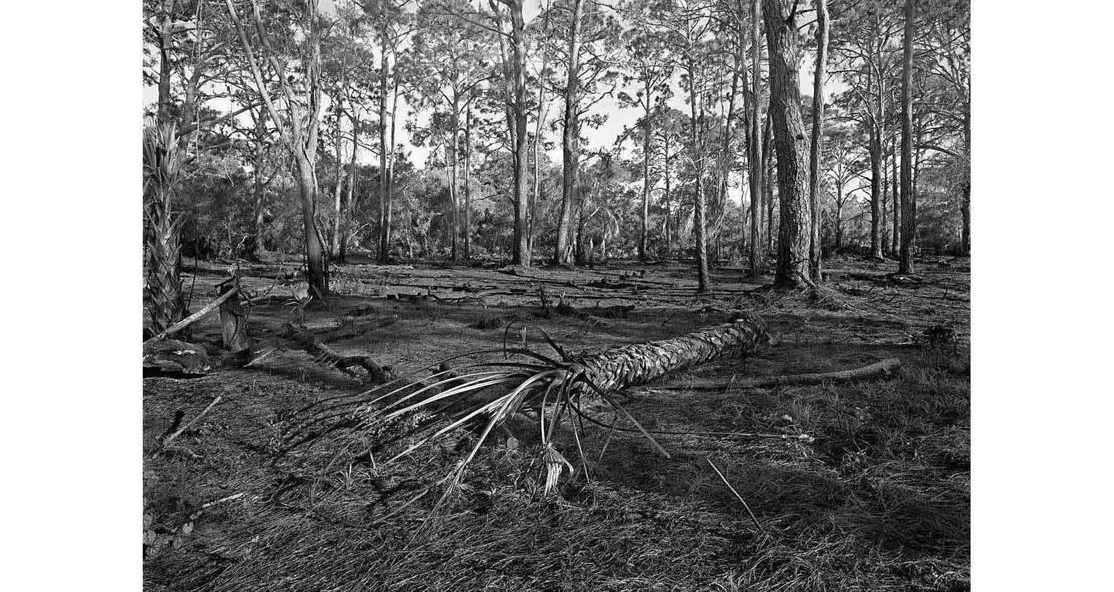 Stacks Image 128
